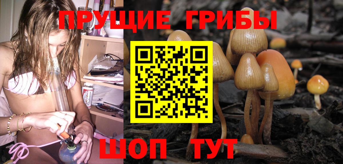 Галлюциногенные грибы GOLDEN TEACHER Электросталь